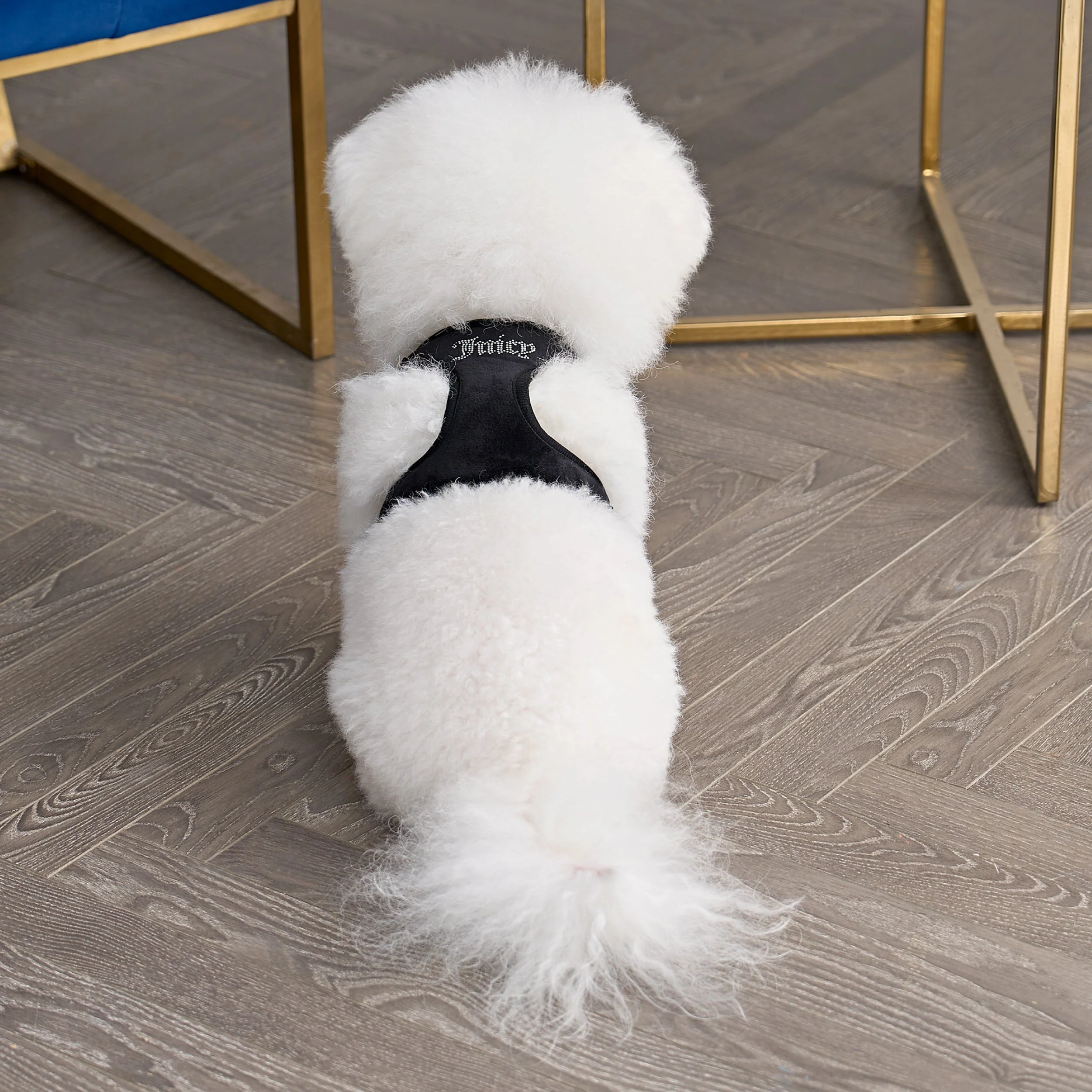 Bling Velour Pet Harness and Leash Set - Image 2