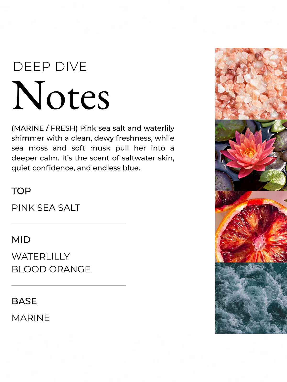 Deep Dive Body Scrub - Image 6