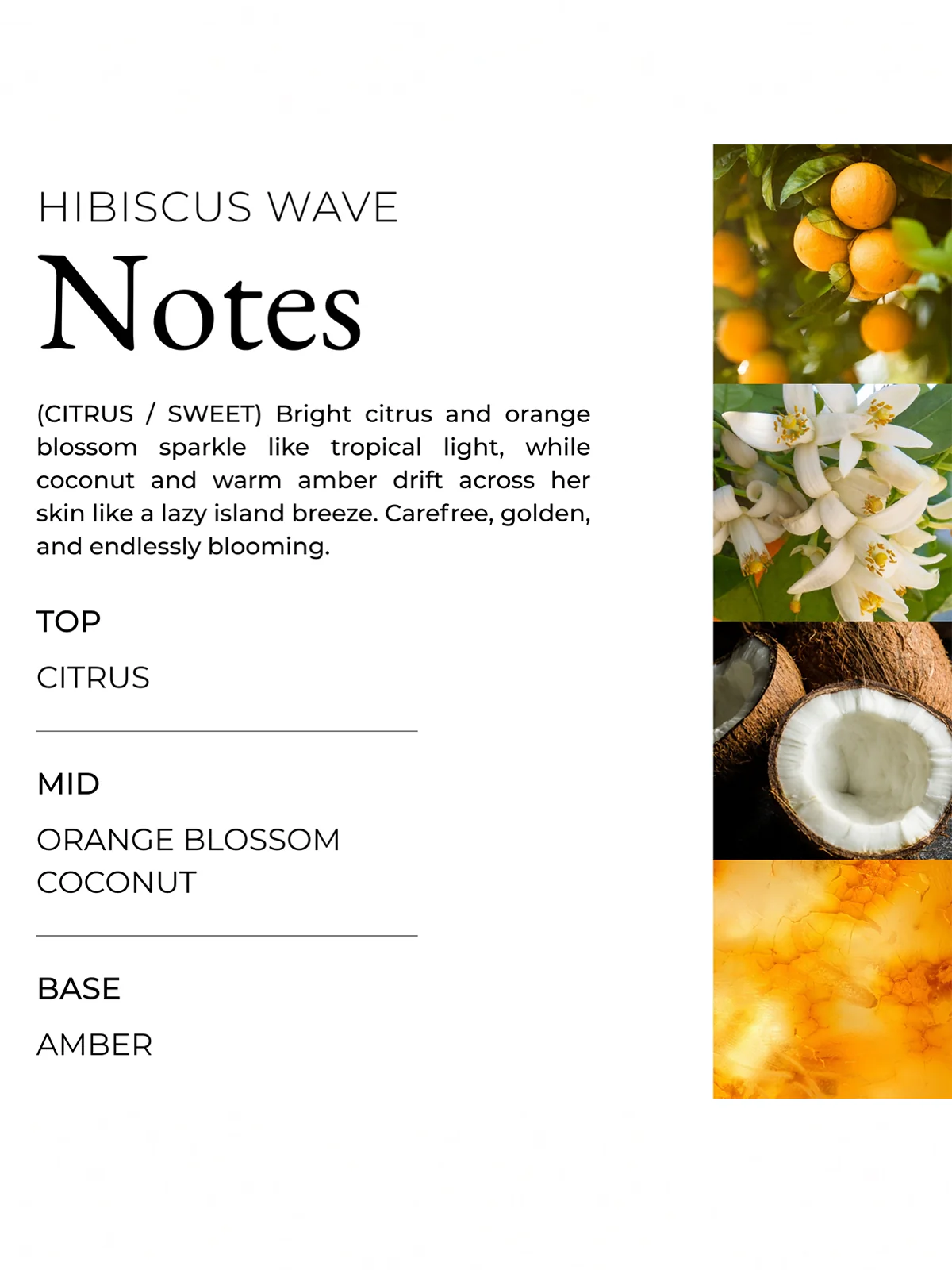 Hibiscus Wave Body Scrub - Image 6