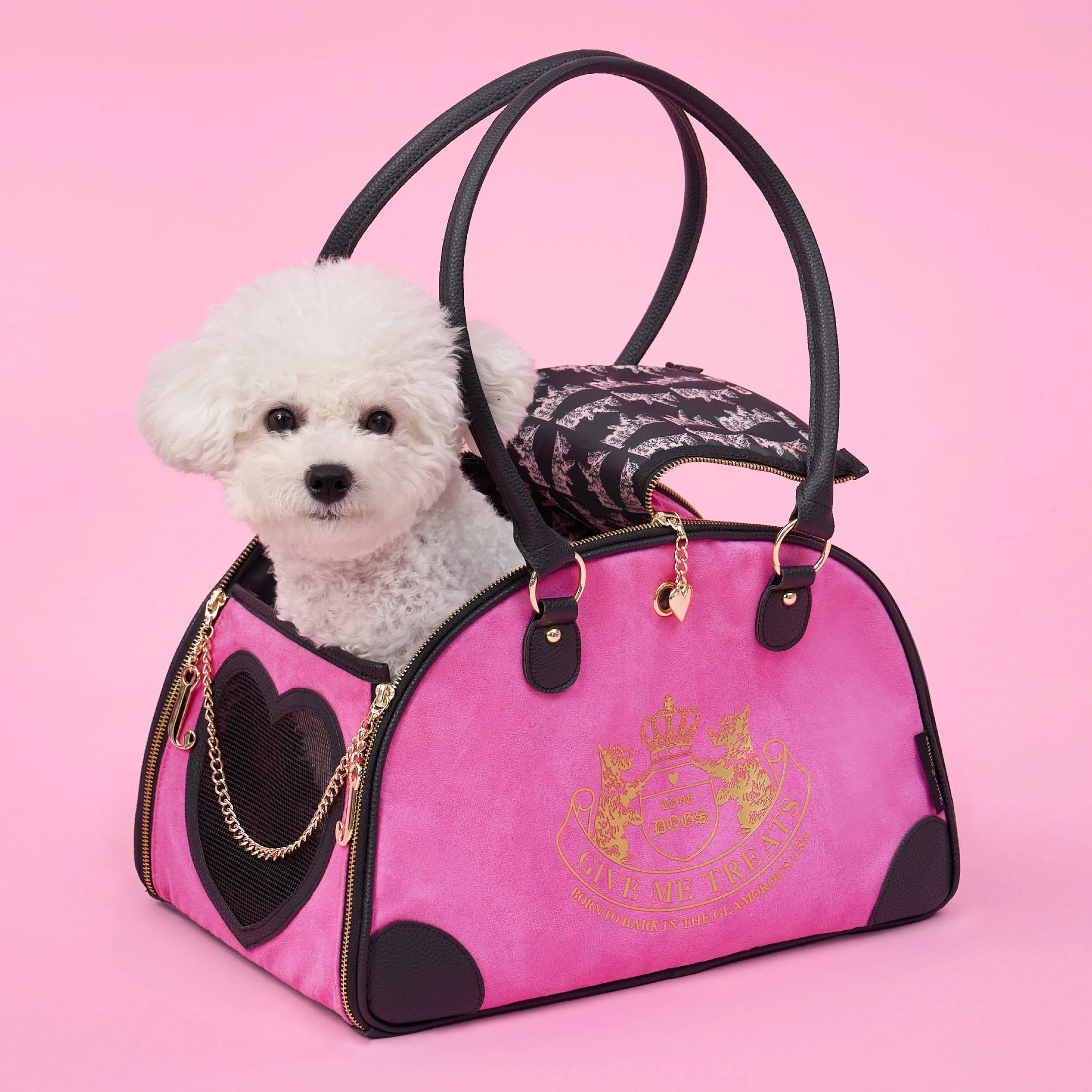 Pet Carrier