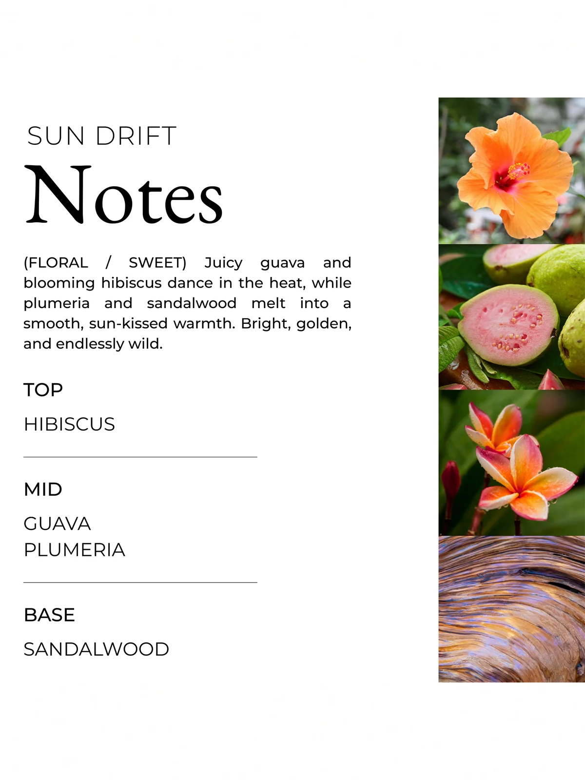 Sun Drift Body Butter - Image 6